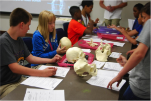 Forensic Anthropology: Bones, Crimes, and Careers interactive activity