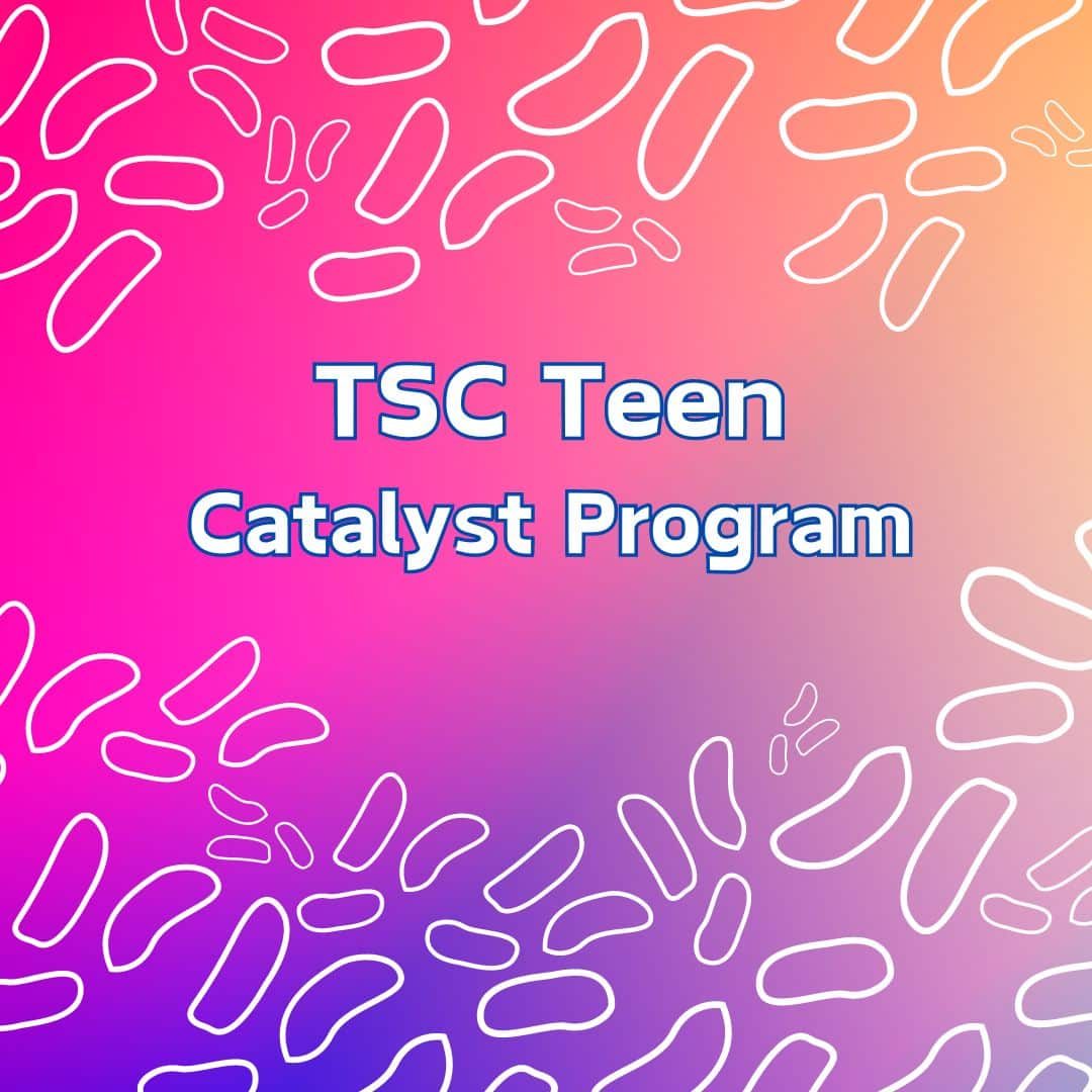 Teen Catalyst Program Information Webinar